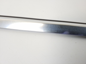  Front door strip to the glass exterior 