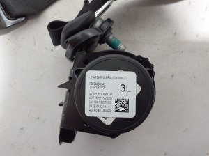 Chrysler Pacifica (2016–2026) Sicherheitsgurt hinten 6EB04DX9AE - 2