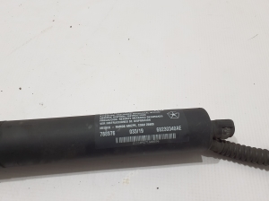 Chrysler Pacifica (2016–2026) Tagaluugi amortisaator 68230340AE - 2