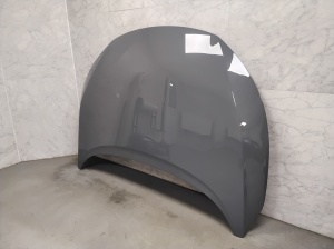 Motorhaube
