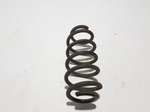 TOYOTA Auris E18 (2012–2018) Rear spring 4823102C10 - 2