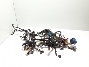  Motorkabelbaum  - 240118195R 