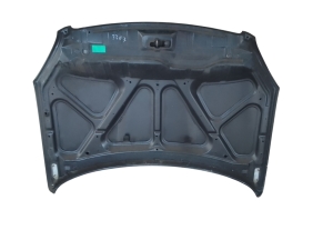 NISSAN Qashqai+2 (2007–2013) Motorhaube F5100JD0M0 - 2