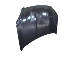 NISSAN Qashqai+2 (2007–2013) Motorhaube F5100JD0M0
