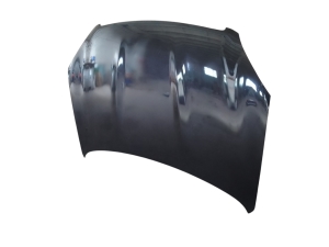NISSAN Qashqai+2 (2007–2013) Motorhaube F5100JD0M0 - 3
