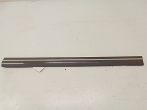 Zierleiste Tür vorne - A2106900482