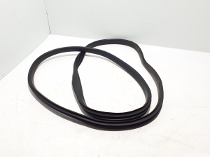 Front door rubber seal - 808330548R