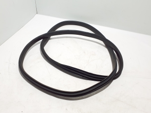 Front door rubber seal - 808330548R