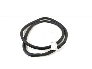   Rear side door seal on the door  -  