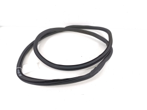 Ford Kuga III (2020–2026) Front door rubber seal - 2