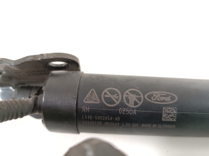 Ford Kuga III (2020–2026) Trunk lid strut LV4BS402A54AD - 2