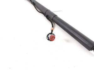 Ford Kuga III (2020–2026) Trunk lid strut LV4BS402A54AD - 3