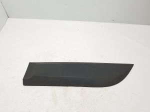 Rear side door molding - 828770002R