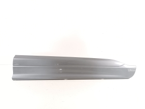  Front door molding  -  
