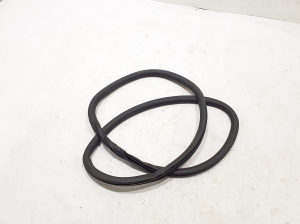 Rear side door seal on the door - 9835307980