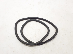 Rear side door seal on the door - 9835307980