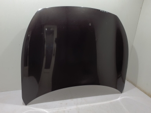Infiniti FX (2008–2013) Motorhaube F510M1CAMA - 2