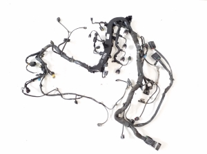   Engine wiring 