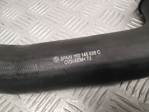 Seat Leon (2005–2012) Pipe 1K0145838C - 2