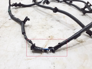 LEXUS NX H20 (2021–2026) Front parking sensor wiring 8211478010 - 3