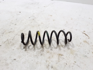 LEXUS NX H20 (2021–2026) Rear spring 4823178200 - 2