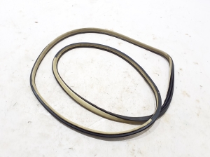 Infiniti FX (2008–2013) Front door rubber seal 769211CA1A - 2