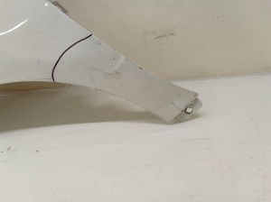 Mercedes Benz A-Class 169 (2004–2012) Front fender 1698810101 - 2