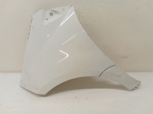 Front fender - 1698810101