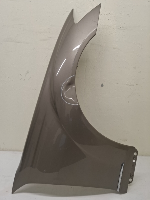 Front fender - A2218800218