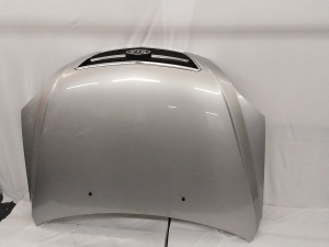 Hood and its parts - 664003E010