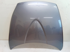 Motorhaube - F1Y15231X