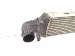 Mercedes Benz E-Class W207 (2009–2017) Vahejahuti radiaator A2045000200 - 4