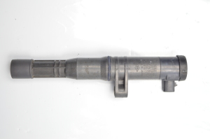 RENAULT Laguna I (1993–2001) Zündspule 0297008291