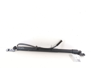   Trunk lid strut  - 6892016022 
