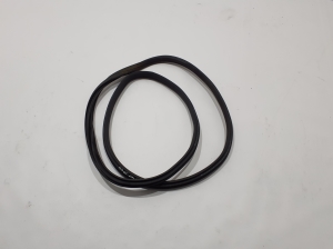   Rear side door seal on the door  - A25769222009G44 