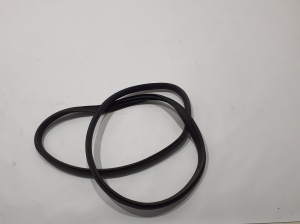   Rear side door seal on the door  - A29069704009G44 