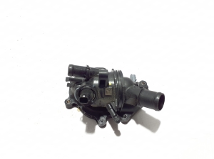 Kühlmittelthermostat - 110600260R