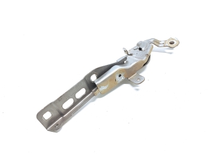   Hood hinge  - 9838511280 