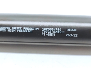 Peugeot 2008 P24 (2019–2026) Trunk lid strut 9825534780 - 2