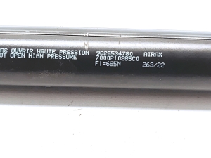 Peugeot 2008 P24 (2019–2026) Trunk lid strut 9825534780 - 4
