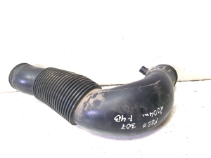 Peugeot 307 I (2000–2009) Voolik 9636962310 - 3