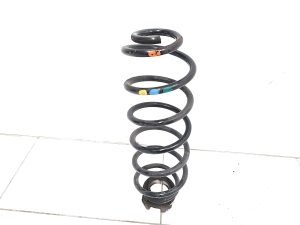 Rear spring