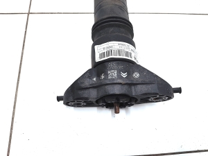 Peugeot 2008 P24 (2019–2026) Rear shock absorber 9842566580 - 4