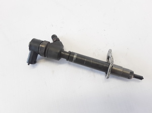   Fuel injector 