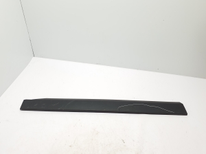 Front door molding - 808214261R