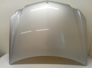 Motorhaube und ihre Teile - 212005100011010