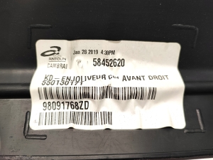 TOYOTA ProAce (2016–2026) Priekšējo durvju apšuvuma apdare 98091768ZD - 4