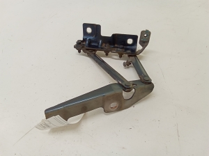 Kapoti hing - 12841601