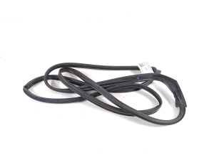   Front door rubber seal  - 808305263R 