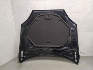 Tesla Model S S (2012–2026) Motorhaube - 6